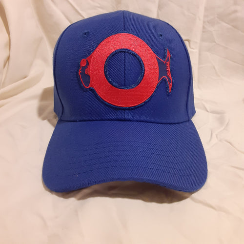 Blue Phish phan art hat, Fishman Donut Hat