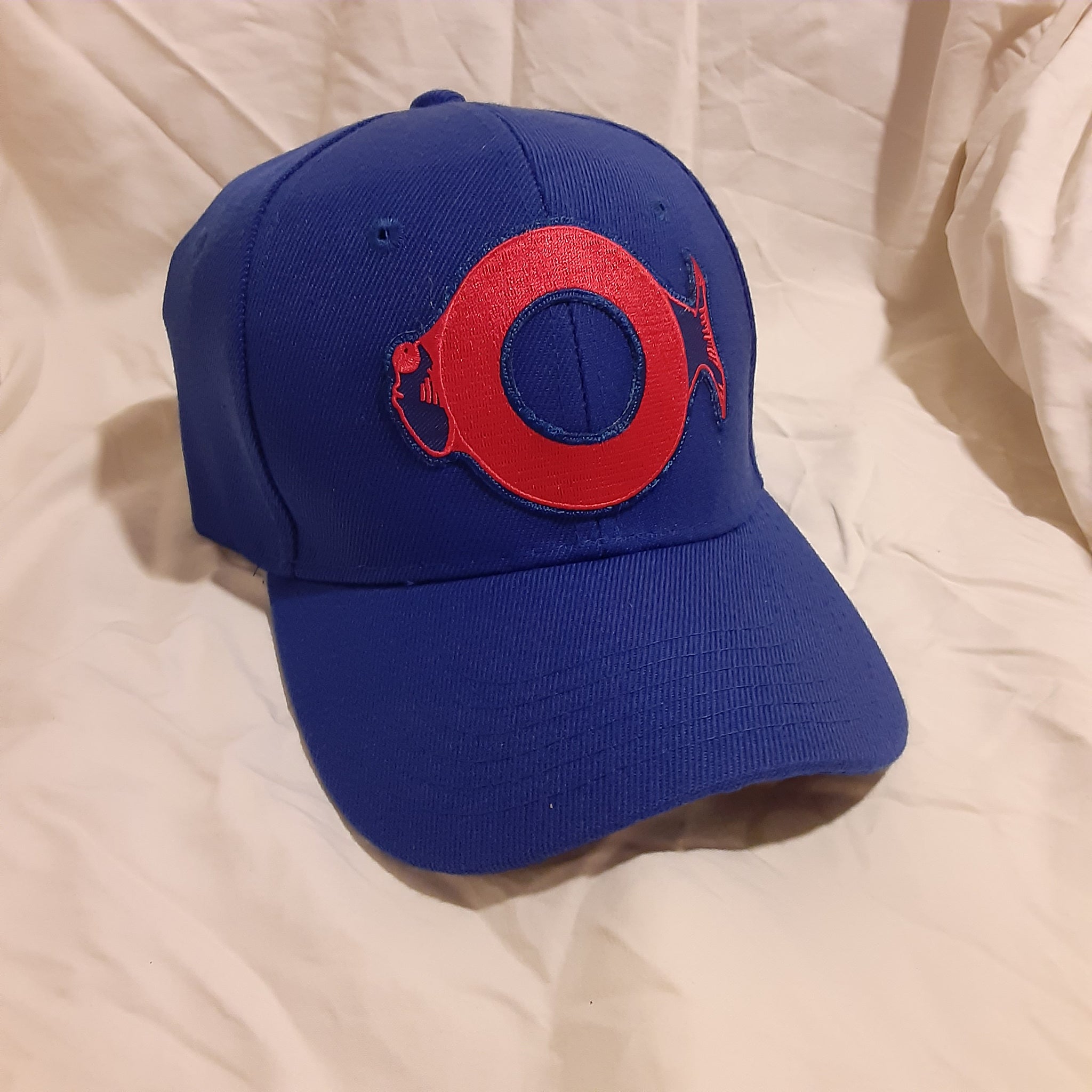 Blue Phish phan art hat, Fishman Donut Hat – JANK N JIVE