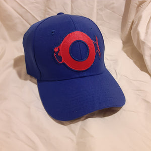 Blue Phish phan art hat, Fishman Donut Hat