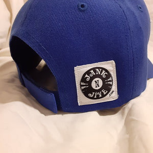 Blue Phish phan art hat, Fishman Donut Hat